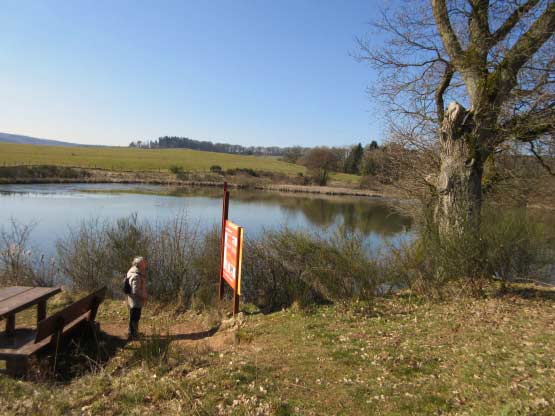 Picknick-Tisch Eichholzmaar