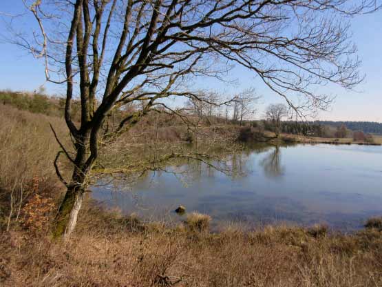 Romantischer See, und das im Winterhalbjahr.