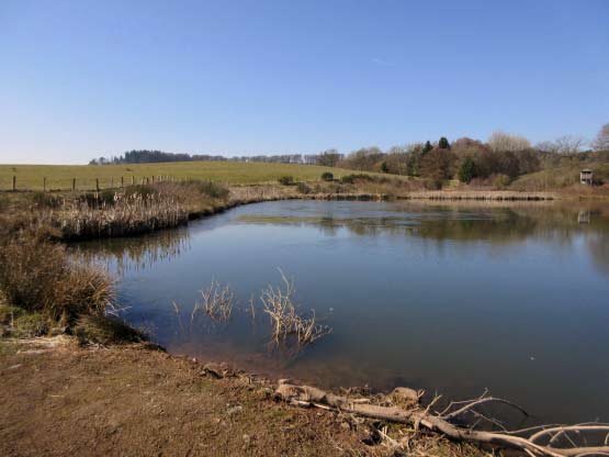 Eichholzmaar, Eifel