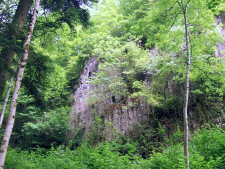 Felsen kleines Kylltal