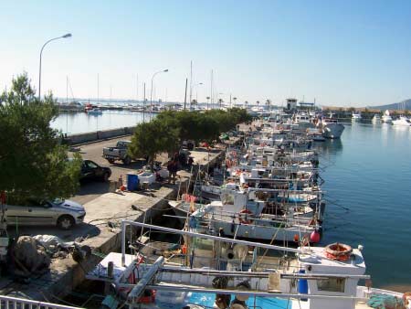 Fischerboote im Hafen von Alcudia