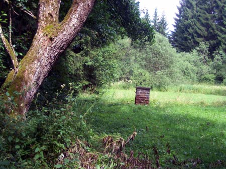 Josenbach Drees Daun
