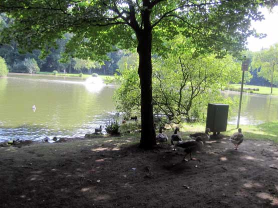 Julianenpark, Enten füttern gehört auch zum Urlaub