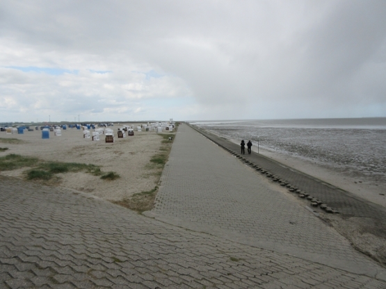 Trotz der Kälte unternehmen wir einen Strandspaziergang entlang des Wattenmeeres.