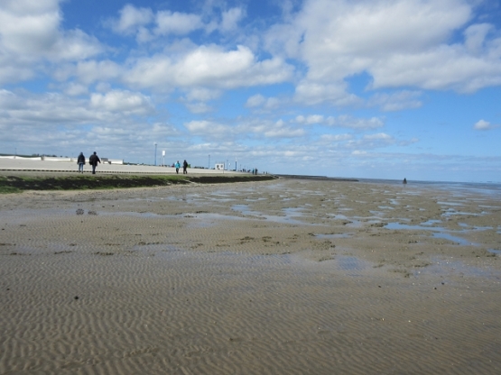 Viel Sand und Watt, alles reichlich vorhanden.