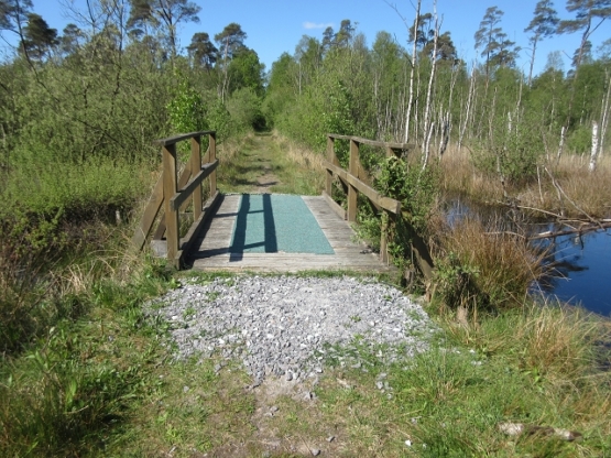 Holzbrücke im Moor