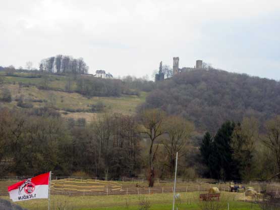 Die Kasselburg über Pelm