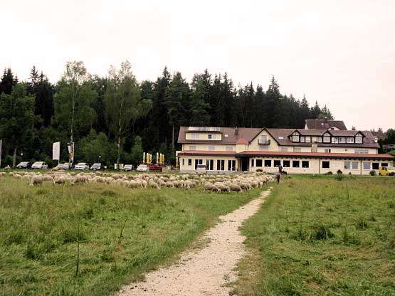 Landhotel Wental