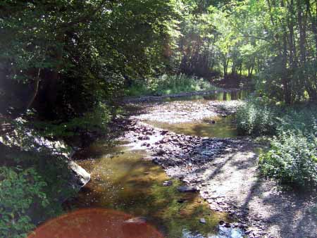 Lieser Eifel