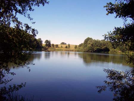 Maarsee Holzmaar