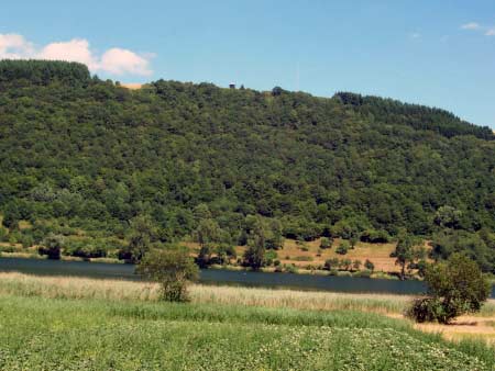 Maarsee vor Kraterrand