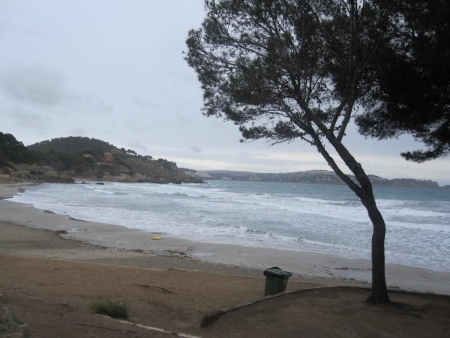 Mallorca Paguera