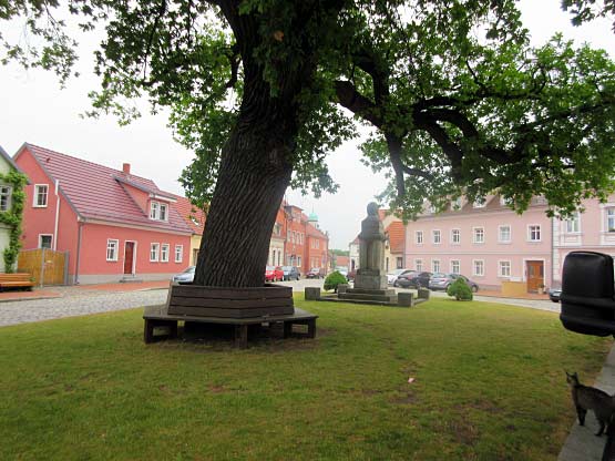 Der Salzmarkt