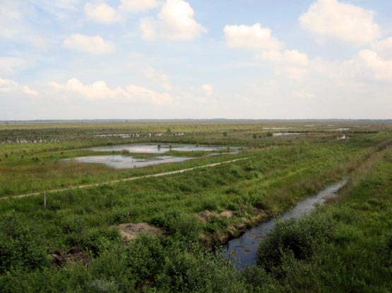 Moor Wasser, Seen, Kanäle