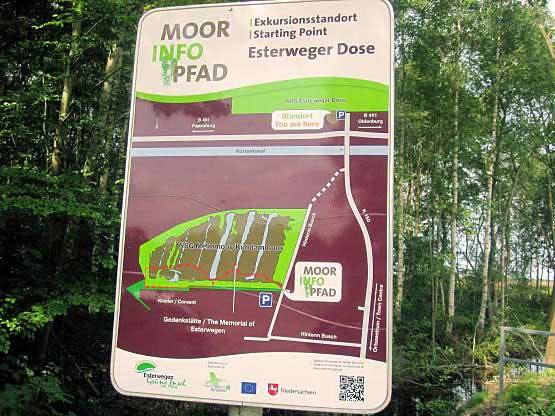 Moorpfad