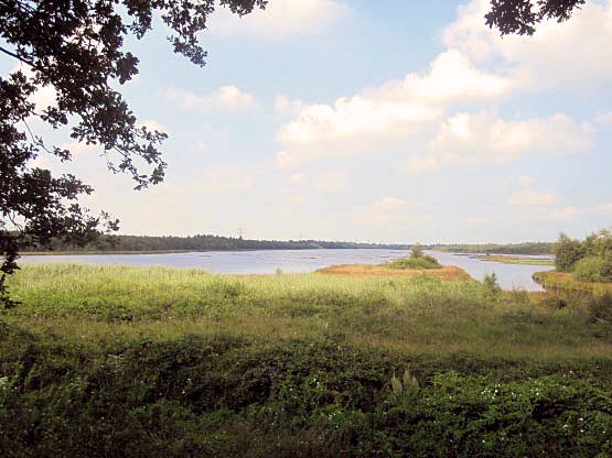 Neudorfer Moor mit großem See