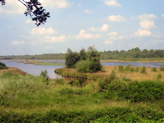 Neudorfer Moor