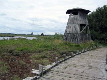 Nordturm Torfmoor