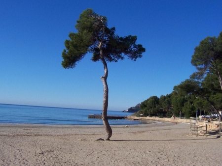 Paguera Strand