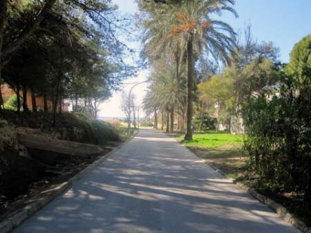 Palmenallee zum Strand