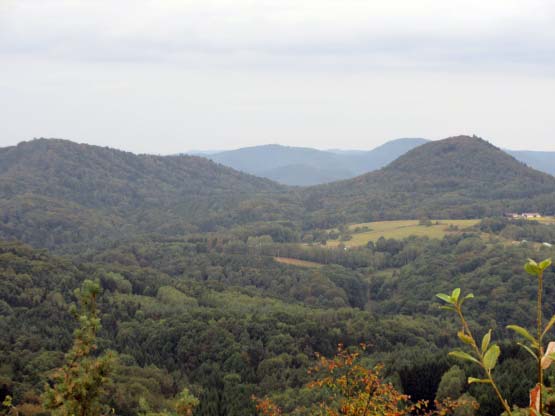 Schöner Pfälzer Wald