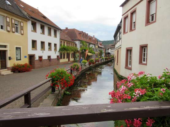 Am Ufer der Queich