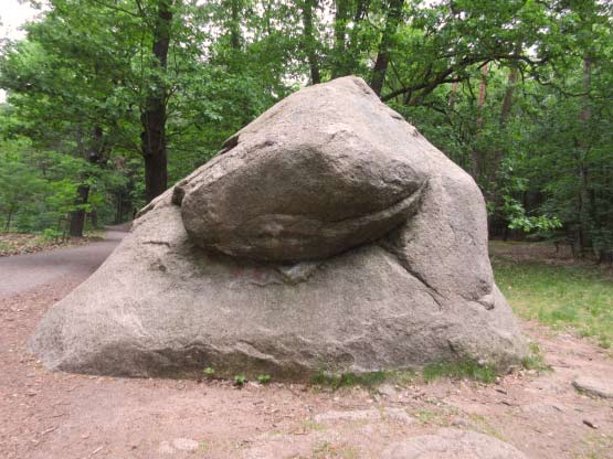 Schildkrötenfelsen Kopfseite