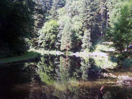 See Manderscheid