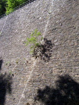 Serpentinenmauer Manderscheid