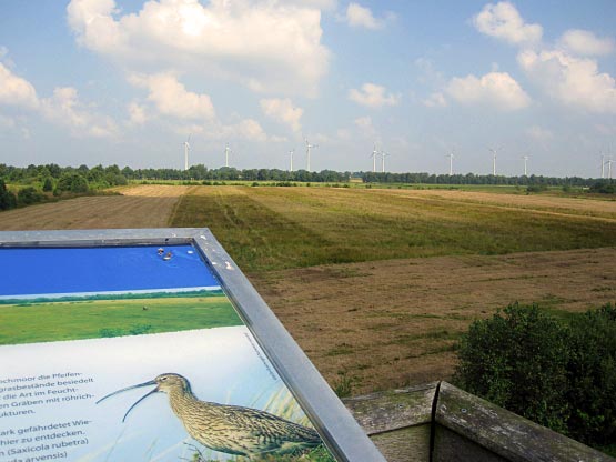 Blick über das Stapeler Moor