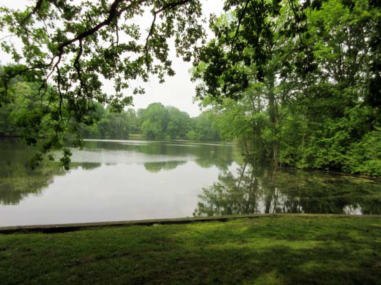 Karpfenteich