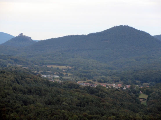 Blick zur Burg Trifels