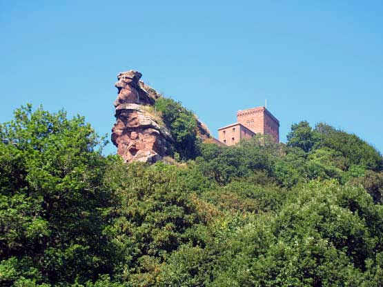 Trifels von den Schlossäckern aus.