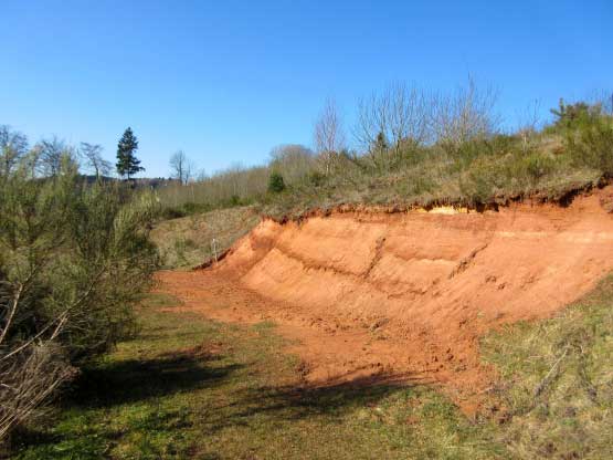 Roter eisenhaltiger Sandstein mit Wasseradern
