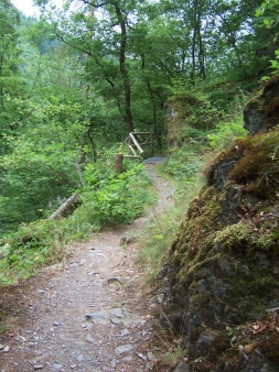 Wanderung Lieserpfad Eifel