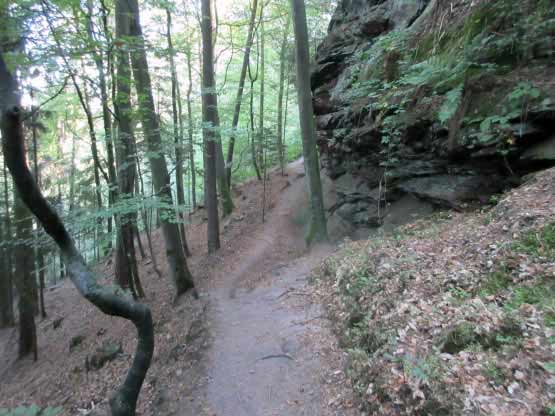 Wanderpfad am Büttelfelsen