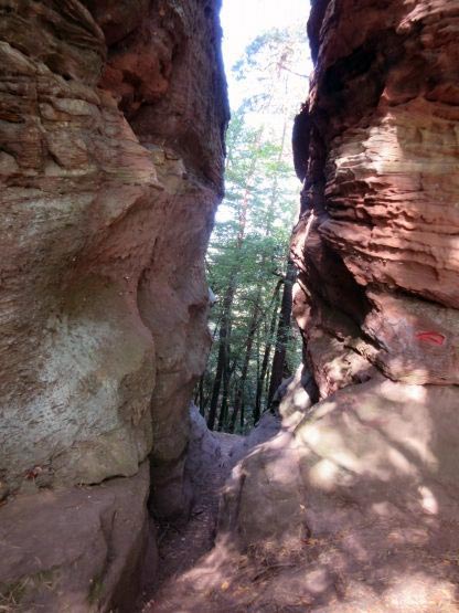 Wanderweg durch den Büttelfelsen