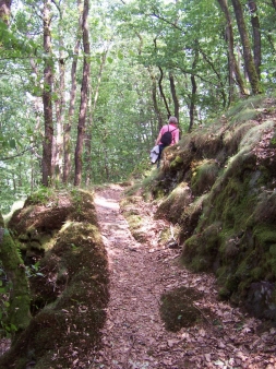 Wanderwege Eifel