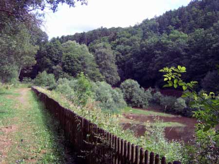 Weg zum Sauerbrunnen