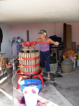 Weinpresse Kalabrien