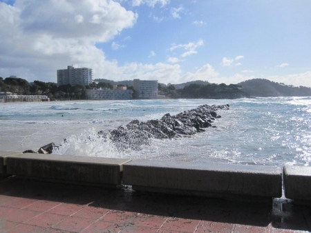 Wetter in Paguera